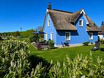 Hauptansicht - Strandhaus Seestern - Top-Hundeurlaub
