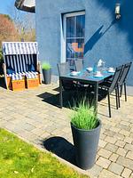 Terrasse - Strandhaus Seestern - Top-Hundeurlaub