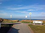 Strand - Seekiefer - Top-Hundeurlaub