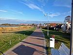 Landschaft - Seekiefer - Top-Hundeurlaub