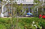 Terrasse - Bernstein Breege - Top-Hundeurlaub