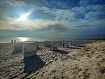 Strand - Ostseeidyll Breege EG - Top-Hundeurlaub