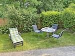 Dekoratives Detail - Morgenstern - Top-Hundeurlaub