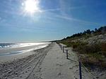 Strand - Morgenstern - Top-Hundeurlaub