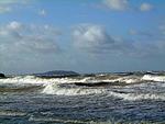 Strand - Morgenstern - Top-Hundeurlaub
