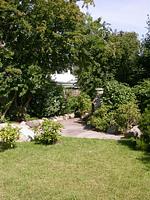 Gartenblick - Viking - Top-Hundeurlaub