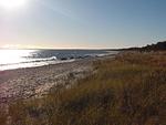 Strand - Im Dünenwald 18 - Top-Hundeurlaub