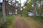 Landschaft - Im Dünenwald 18 - Top-Hundeurlaub
