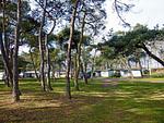 Hauptansicht - Wallocha - Top-Hundeurlaub
