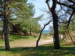 Landschaft - Wallocha - Top-Hundeurlaub