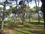 Landschaft - Wallocha - Top-Hundeurlaub