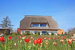 Hauptansicht - Bodden & Meer 1 - Top-Hundeurlaub