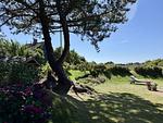 Garten - Westerheide - Top-Hundeurlaub