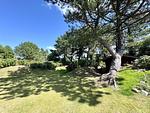 Garten - Westerheide - Top-Hundeurlaub