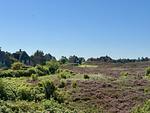 Gartenblick - Westerheide - Top-Hundeurlaub