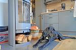 Kamin-/Ofen - Aurellia - Top-Hundeurlaub