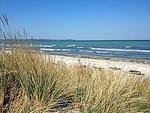 Strand - Pameebo 2 - Top-Hundeurlaub
