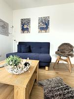 Winterberg Penthouse 21125 - Top-Hundeurlaub