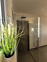 Winterberg Penthouse 21125 - Top-Hundeurlaub