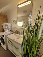 Winterberg Penthouse 21125 - Top-Hundeurlaub