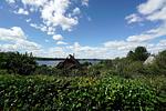 Gartenblick - Modernes Nurdachhaus in ruhiger Feriensiedlung direkt am Wittensee mit Seeblick - Top-Hundeurlaub