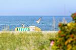 Strand - Boddenoase - Top-Hundeurlaub