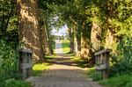 Landschaft - Boddenoase - Top-Hundeurlaub