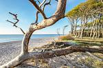 Ferienwohnung Vasco da Gama Suite Ostseebad Wustrow ZweiWasser Alte Seefahrtschule Umgebung - Vasco da Gama Suite - Top-Hundeurlaub