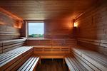 Ferienwohnung Rundblick Ostseebad Wustrow ZweiWasser Alte Seefahrtschule Sauna mit Blick ins Grün - Rundblick - Top-Hundeurlaub