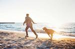 Ferienwohnung Rundblick Ostseebad Wustrow ZweiWasser Alte Seefahrtschule Nahegelegener Hundestrand - Rundblick - Top-Hundeurlaub