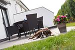 Terrasse - Dreimasterhaus Nr. 3 - Top-Hundeurlaub