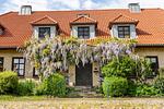 Ferienwohnung 'Haferkammer' in Brodersby an der Schlei - Top-Hundeurlaub