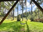 Großes Naturgrundstück mit Schaukel am Ferienhaus Skogsdrömmen - Skogsdrömmen - Top-Hundeurlaub