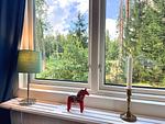 Fenster mit Blick in den Wald am Ferienhaus Skogsdrömmen in Småland - Skogsdrömmen - Top-Hundeurlaub