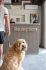 Hotel Hofgut Sternen - Top-Hundeurlaub
