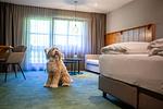 Hotel Hofgut Sternen - Top-Hundeurlaub