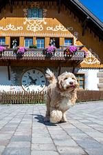 Hotel Hofgut Sternen - Top-Hundeurlaub