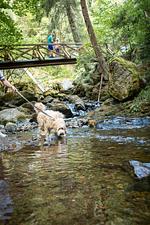 Hotel Hofgut Sternen - Top-Hundeurlaub