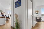 Dekoratives Detail - Sea Apartment Mojo - Top-Hundeurlaub