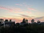Chalet IJssel Lodge mit Zaun Haus Nr. 34 - Top-Hundeurlaub