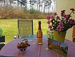 Terrasse - Wellenreiter - Top-Hundeurlaub