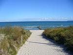 Strand - Wellenreiter - Top-Hundeurlaub