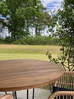Terrasse - Stranddüne - Top-Hundeurlaub