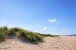 Strand - Friesenzeit - Top-Hundeurlaub