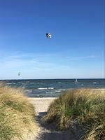 Piratennest Born - Top-Hundeurlaub