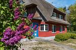 Reethaus in blühender Umgebung - An den Boddenwiesen 02 - Top-Hundeurlaub