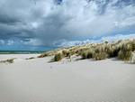 Sandstrand mit Dünengras und Meer - Sonnenblumenhaus 01 - Top-Hundeurlaub