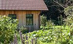 Außenansicht eines Holzhauses mit Garten - Alte Tischlerei 01 - Top-Hundeurlaub