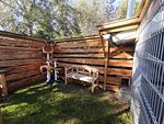 Strandhaus Nr. 10 - Traumurlaub am Großen Plöner See – Seeblick, Sauna & Whirlwanne, Kaminofen, für max. 8 Pers. - Top-Hundeurlaub