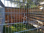 Strandhaus Nr. 10 - Traumurlaub am Großen Plöner See – Seeblick, Sauna & Whirlwanne, Kaminofen, für max. 8 Pers. - Top-Hundeurlaub